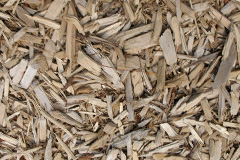 biomass boilers Collieston